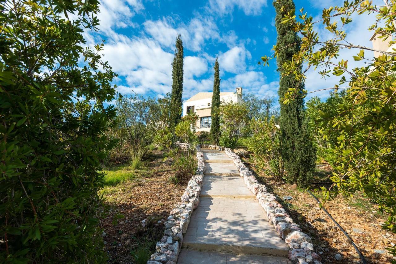 Villa Aegean Blue Villa's